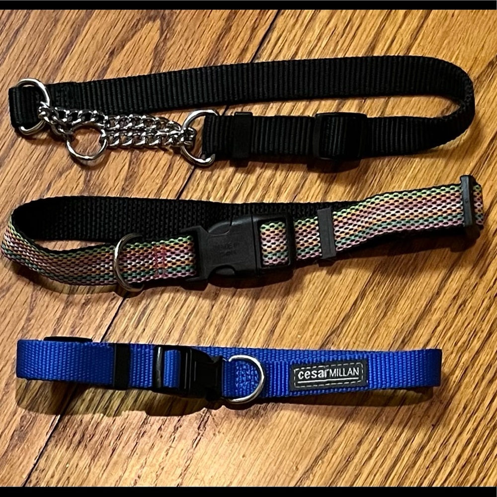 Three Adjustable Dog Collars